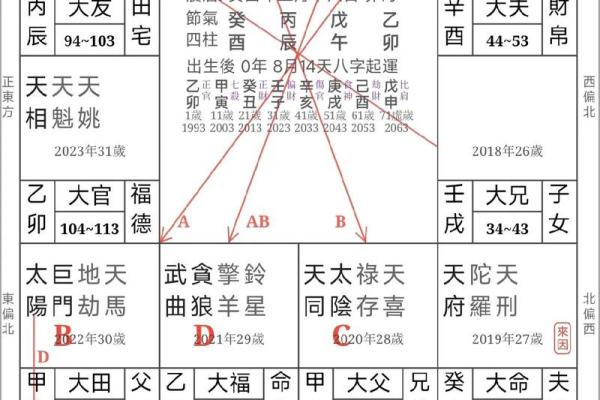紫微斗数武曲星入命宫,武曲命格的女生啥性格