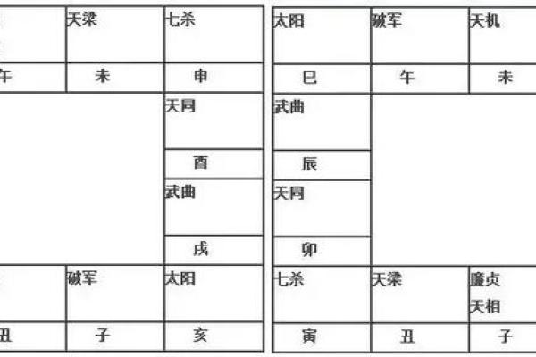 紫薇斗数子斗亥