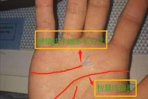 女性手掌感情线算命图解 感情线不清晰的人没有主见