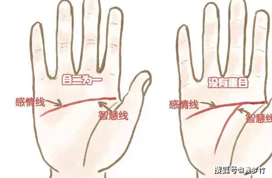 女性手掌感情线算命图解 感情线不清晰的人没有主见