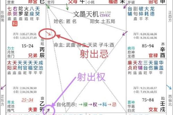 博士紫薇斗数