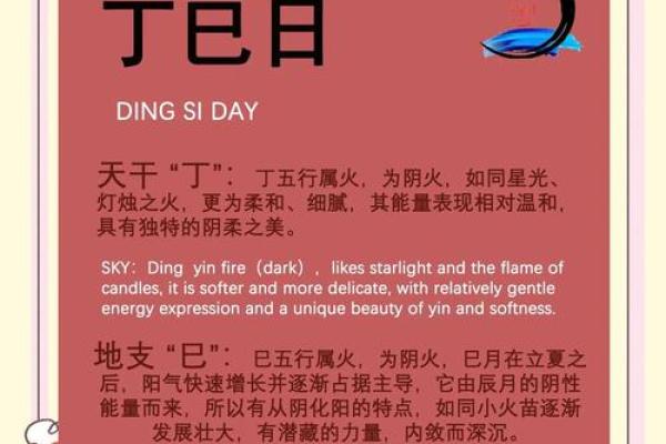 八字巳申