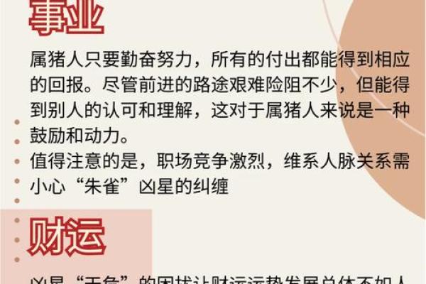 属猪算命,属猪人运程