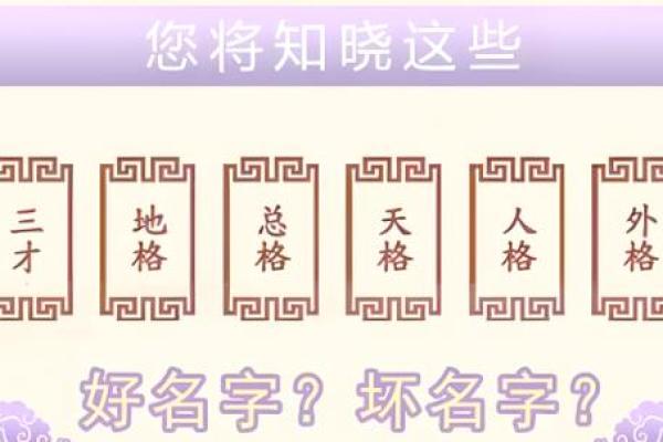 姓名取名字测试打分