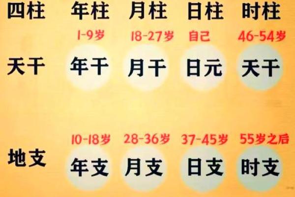 免费生辰八字取名字 生辰八字免费取名