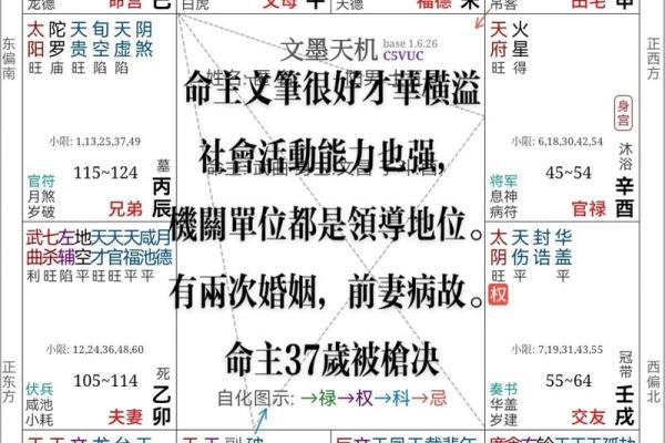 紫薇斗数的小限指的什么