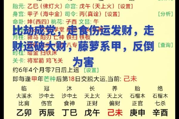 女命富贵的八字，藤萝系甲是帮还是劫#财运