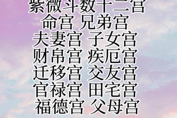 紫薇斗数是啥
