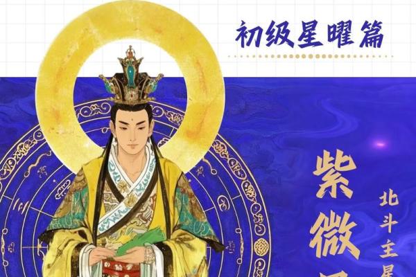 紫薇斗数代表什么