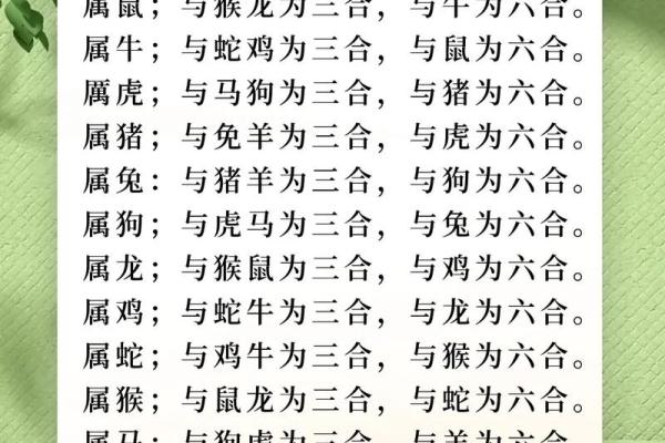 三合风水_属龙与什么生肖最合得来