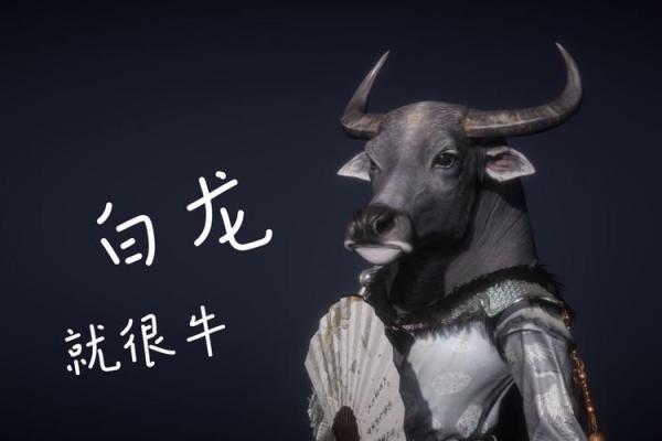 白龙八字