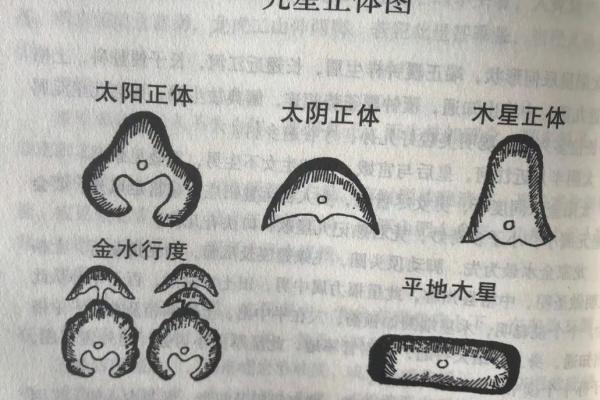 教你学会怎样看风水墓地宝地