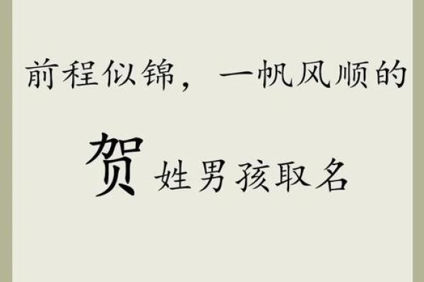 8月份出生的属虎男孩如何取名字好姓名