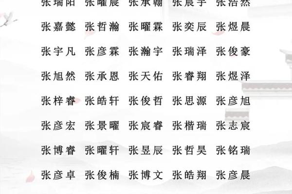 宣姓男孩名字大全-宣姓男孩起名字大全-宣姓名字大全姓名