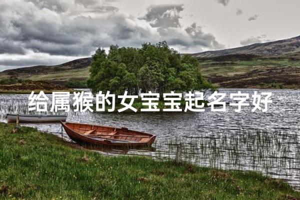 用什么字给晚上11点出生的属猴男孩取名字合适姓名