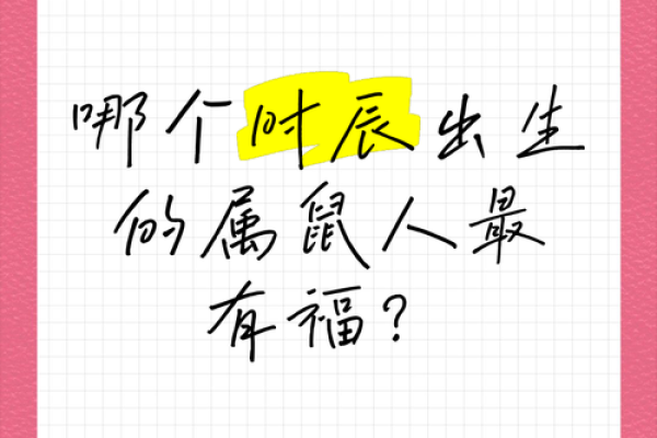 给属鼠子时出生的男孩取名的小妙招姓名