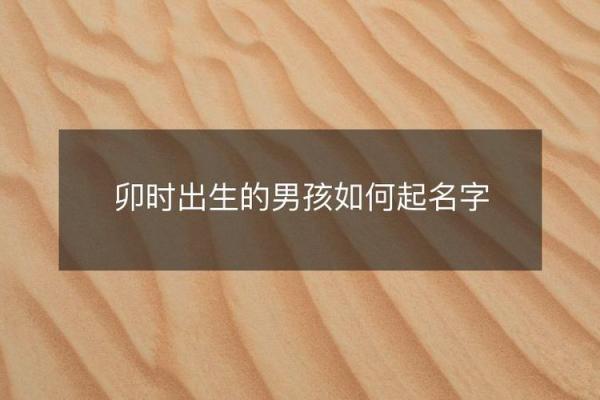 2019年6月13号卯时出生的男孩应该起什么样的名字姓名