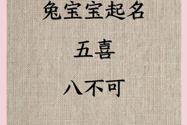 怎样给6月份出生的属兔男孩取名字姓名