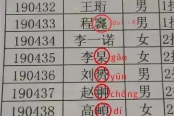 2019年5月24号寅时出生的男孩应该起什么样的名字姓名
