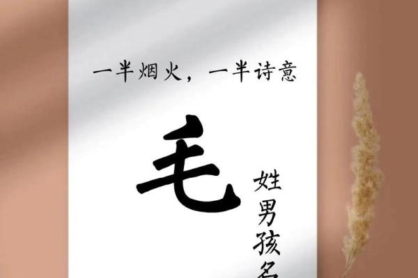 毛姓女孩名字大全-毛姓女孩起名字大全-毛姓名字大全姓名