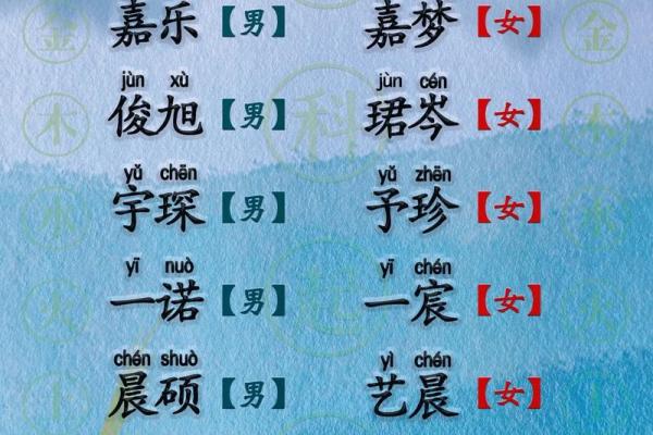 2019年3月23号巳时出生的男孩如何起名姓名