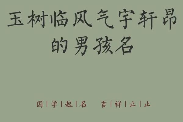 2019年3月27号申时出生的男孩应该起什么样的名字姓名