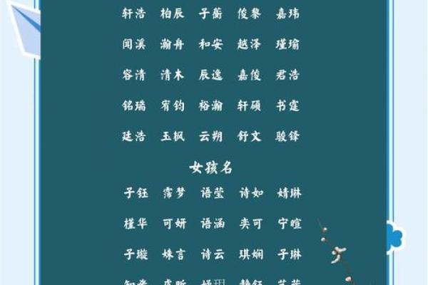 8月份出生的属兔男孩要怎样取名姓名
