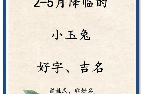 3月份出生的属兔男孩适合取什么名字姓名