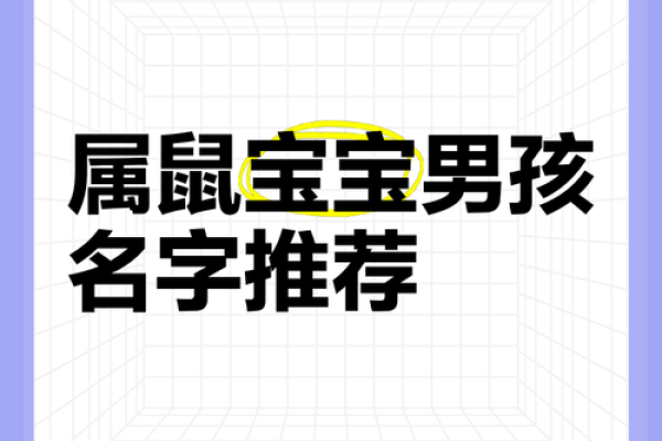 凌晨4点出生的属鼠男孩怎么样取名字姓名